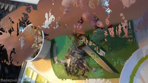 как сделать котлеты из мелкой рыбы корюшки и наваги простой рецепт