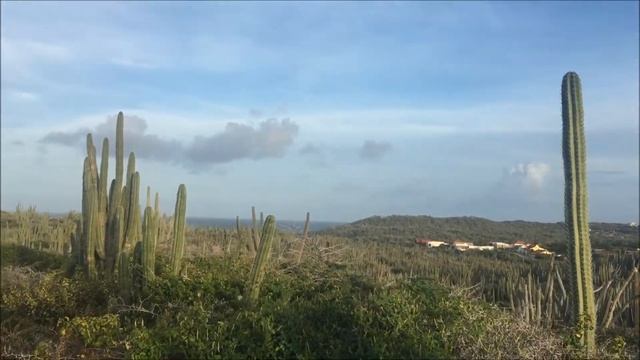 Золото на острове Аруба. Отдых на Карибском море. смотреть онлайн