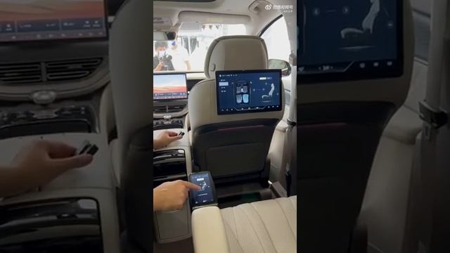 Denza D9, interior & exterior/интерьер и экстерьер