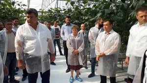 Глава Адам Джарим - открытие тепличного комплекса ООО "Кубань Продукт"