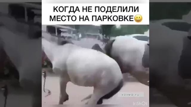 Не поделили место на парковке.MOV смотреть онлайн