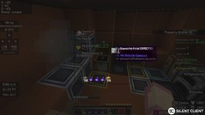 ВКЛЮЧИЛ ВСЕ МОДЫ НА SILENT CLIENT? ВСЕ МОДЫ НА САЙЛЕНТ КЛИЕНТ