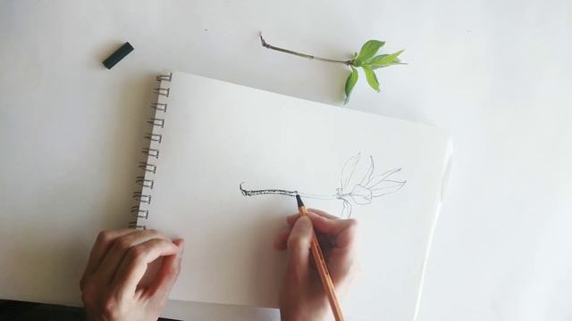 Мастер класс по рисованию набросков. Урок 10. смотреть онлайн