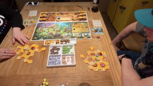 Honey Buzz - Time Lapse Thursdays