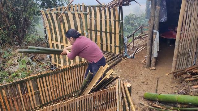 Take the dog to the big village for treatment & complete the bathroom - 17 Year Old Single Mother смотреть онлайн