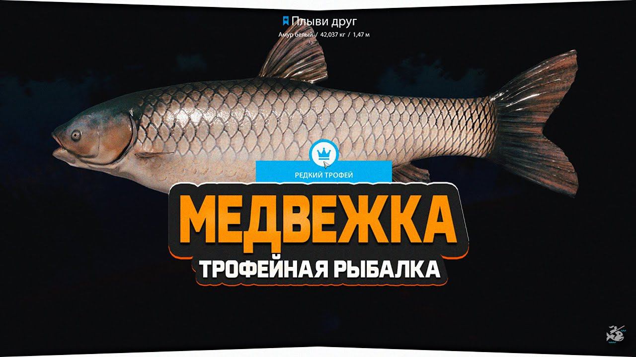 Трофейная рыбалка на Медвежьем озере — Русская Рыбалка 4