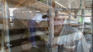 Всё об Америке «Мэриленд» (документальный сериал, 2003-2007)