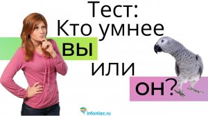 Проверьте, умнее ли Вы серого попугая