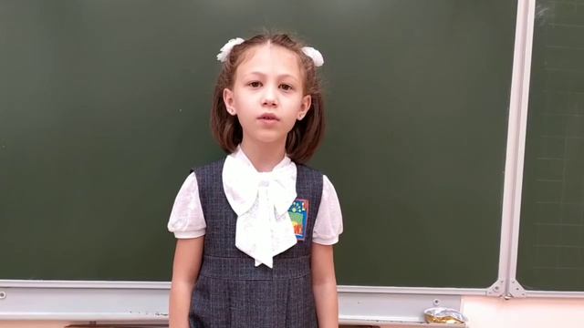 Зубайдуллина Карина Рустамовна БГ 102 им Р Бикбаева ГО г Уфа смотреть онлайн