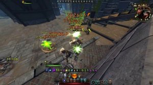 Neverwinter | Следопыт | Охотник | Лучник | M21 | Гайд