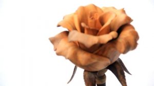 Роза из дерева своими руками  ( Carving Wood ) Rose