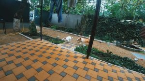 Бима достает нас из воды ?Путешествие с КОРГИ  ?Москва----Тихорецк!