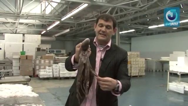 Выбор морепродуктов Каракатица, кальмар, осьминог смотреть онлайн