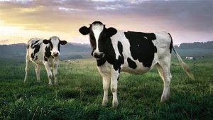 Fruttis 8% #НуттисФруттис. Новая реклама Fruttis на ТВ, V2