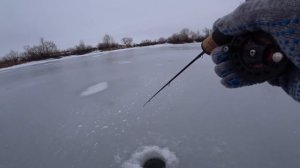 ЭТИ ЖЕРЛИЦЫ НЕ ДАЮТ ПОКОЯ! Ловля со льда на живца. Беспредел зубастых!