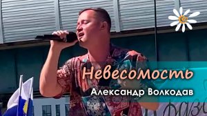 "Невесомость" Александр Волкодав - День семьи, любви и верности, Южное Бутово, Москва 8.07.24