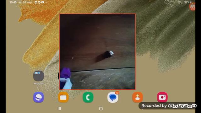 24 марта 2024 г. смотреть онлайн