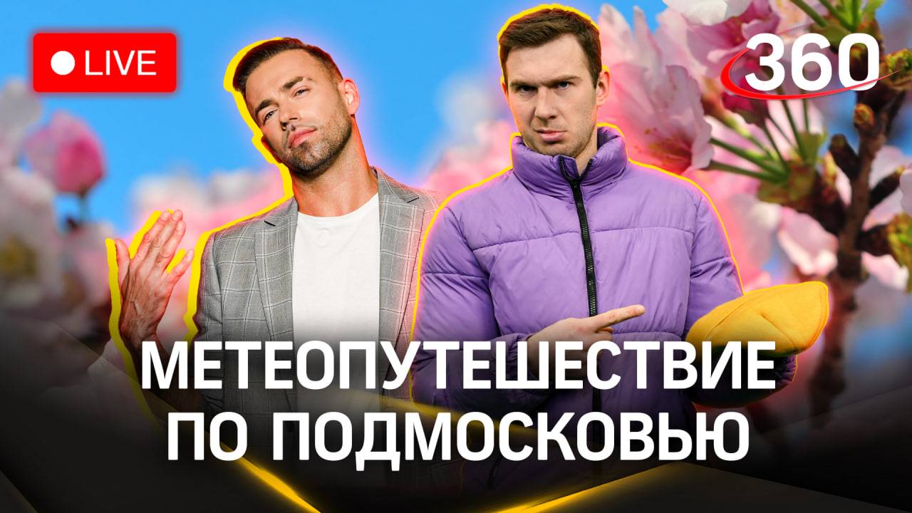 Прогноз погоды в Москве и Подмосковье. Илич. Шубенков. Стрим