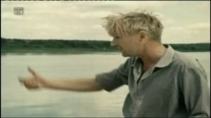 Не стреляйте в белых лебедей