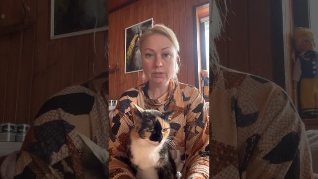 Немного о себе и своих целях. #домашниеживотные #животные #кошки