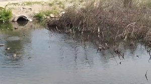 video_2023-06-30_11-57-27