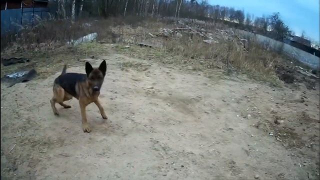ЗИМА БЕЗ СНЕГА И МОРОЗА