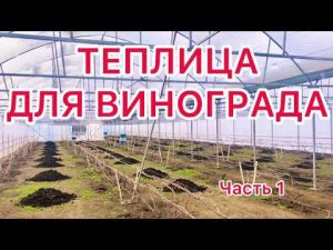 АРОЧНАЯ ТЕПЛИЦА ПОД ВИНОГРАД. СБОРКА ТЕПЛИЦЫ.Часть 1.