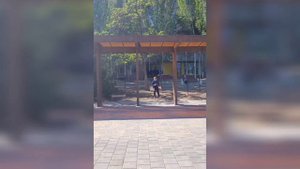 ЦЫГАНСКИЕ ФОКУСЫ
