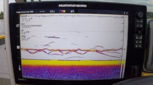 HUMMINBIRD SOLIX GEN2 подъем сома на квок
