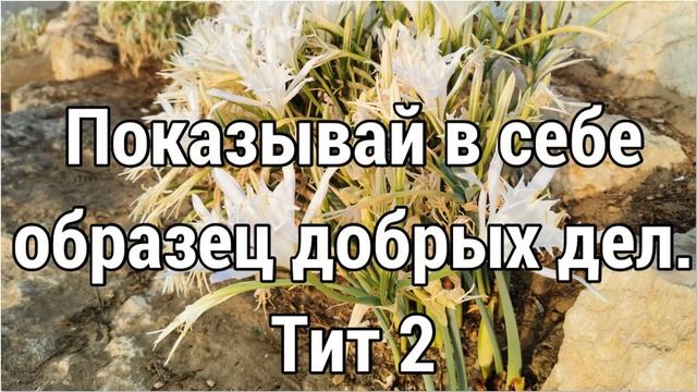 Показывай в себе образец добрых дел смотреть онлайн