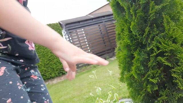 Играем кошки - мышки ??часть 1 смотреть онлайн