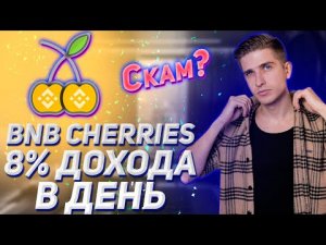 BNB Cherries даёт от 8% в день - это скам? | Честный обзор