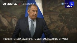 Россия может обеспечить зерновые нужды арабских стран