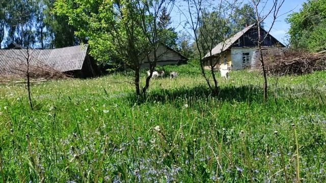 болталка, зачем машина, куда девать столько сыра, ремонт машины затягивается смотреть онлайн