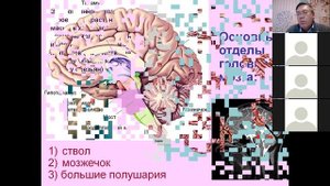 Дубынин МФК весна 2021 Химия мозга 1 вещества