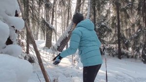 Обзор складной пилы Следопыт