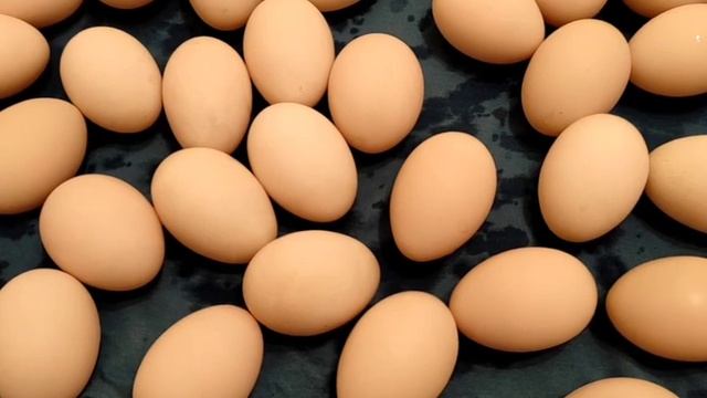 ПРАВИЛА ИНКУБАЦИИ МУСКУСНЫХ УТОК.ЧТО НУЖНО ЗНАТЬ И ДЕЛАТЬ ДЛЯ ОТЛИЧНОГО ВЫВОДА УТЯТ ВСЁ ОБ ИНКУБАЦИ смотреть онлайн