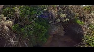 #Сардиния. Остров сокровищ. Часть 4. Полуостров Синис. Самые красивые пляжи Сардинии. Что посмотрет