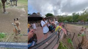 Зоопарк Khao Kheow Open Zoo