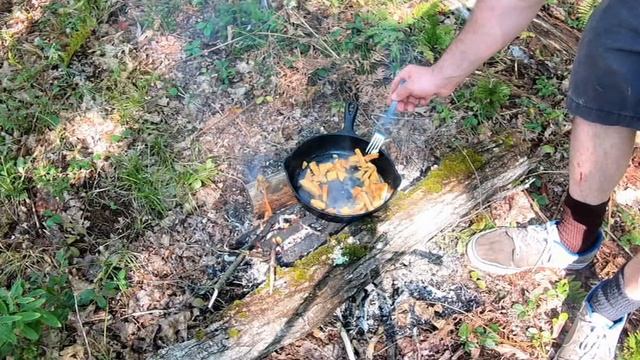Cast iron cooking in the forest | Foraging for black trumpet mushrooms | Mushrooms everywhere! смотреть онлайн