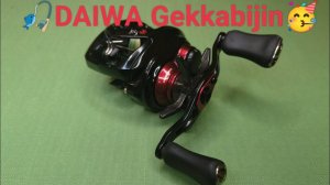 DAIWA Gekkabijin обзор на столе