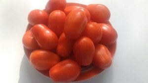 Обзор томата Челнок.