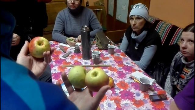 Дегустация плодов яблони  Институт плодоводства