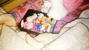 ДАРИМ ПОДАРОК  ЛИЛИ/ДЕНЬ РОЖДЕНИЯ ЛИЛИ/МНОГО ИГРУШЕК/ЛИЛИ 1 ДЕНЬ/