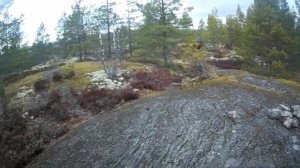 Шхеры Ладоги! Где на камнях растут деревья. Часть2.