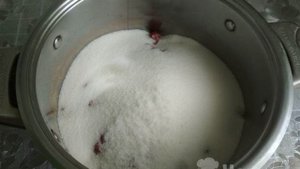Протертые ягоды с сахаром на зиму