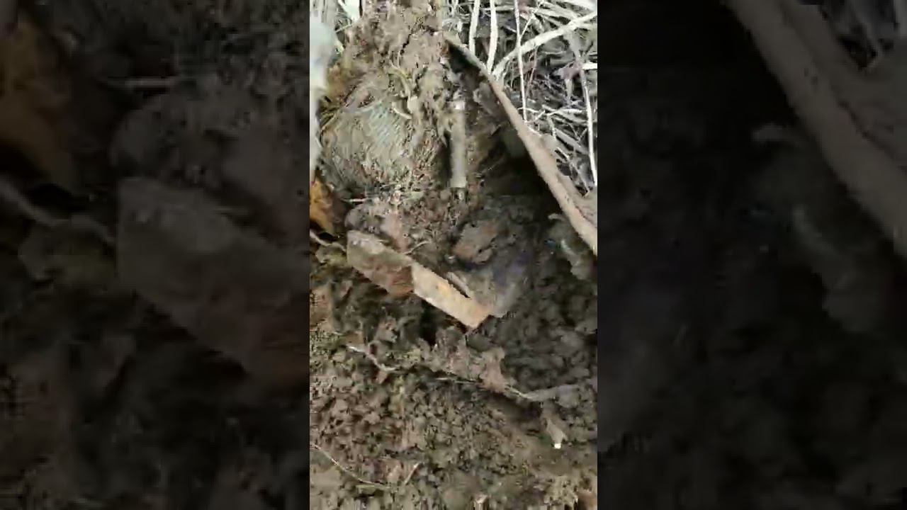 медь смотреть онлайн