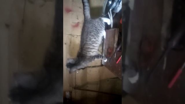 проверка щёток на генераторе мотоцикла Урал, 1 часть. смотреть онлайн