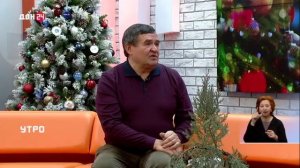 Утро на Дон24 от 14.12.2023 Как правильно выбрать новогоднюю елку