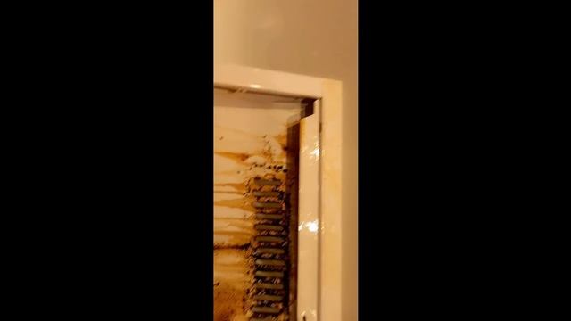 КАК РАЗОБРАТЬ и ПОЧИСТИТЬ от ЖИРА и ГРЯЗИ  ВЫТЯЖКУ Разобрали и УЖАСНУЛИСЬ Была СТАРАЯ стала НОВАЯ